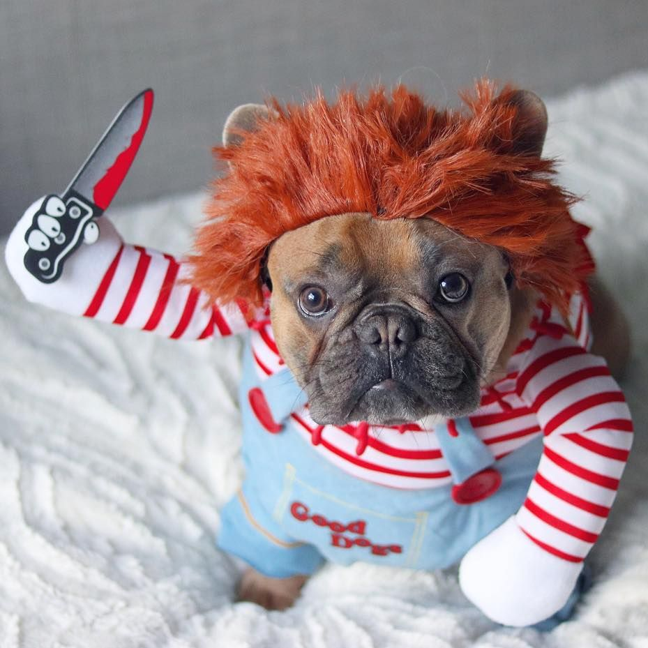 HALLOWEEN CHUCKY DOG COSTUME